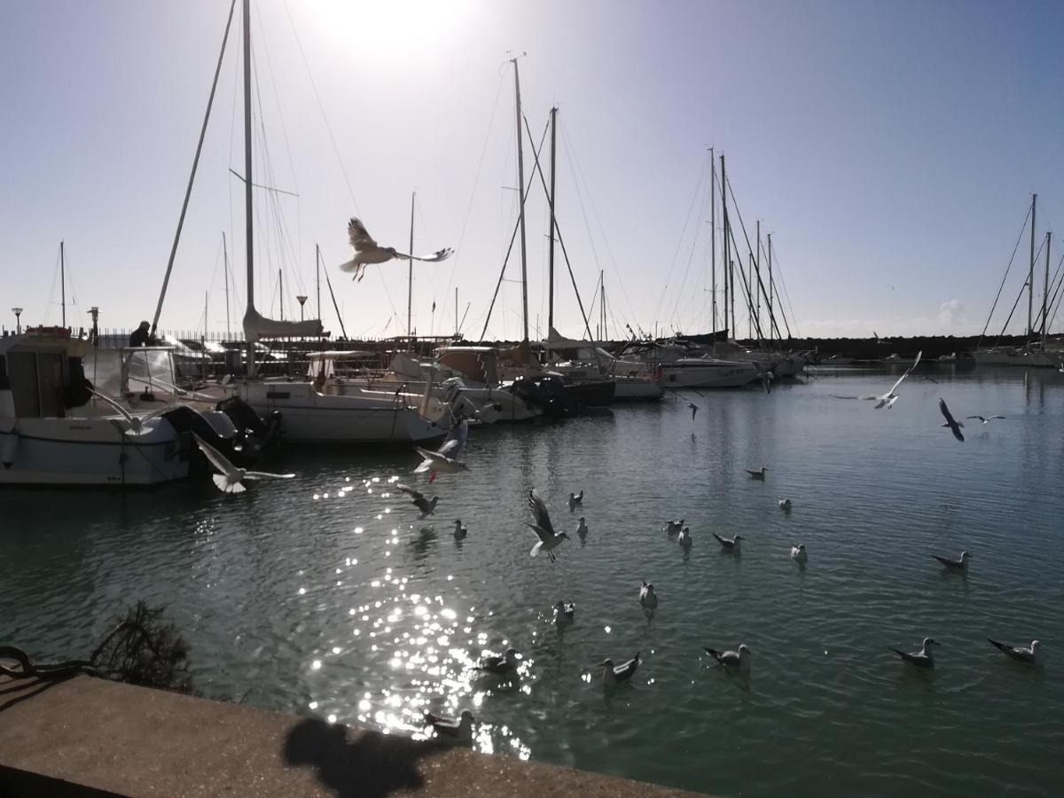 Blue Marine Di Ostia Hotel ภายนอก รูปภาพ